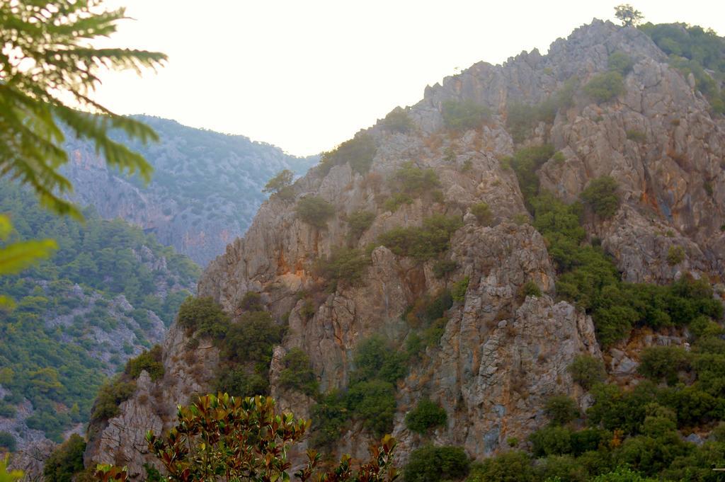 Safir Pansiyon Cirali Bagian luar foto