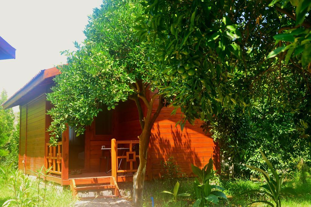 Safir Pansiyon Cirali Bagian luar foto