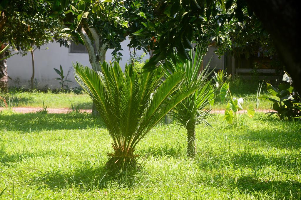 Safir Pansiyon Cirali Bagian luar foto